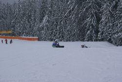 Alta Val Badia (146), Claudia R (45), Sci Alpino (290)